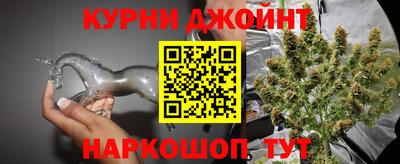 дживик Можга