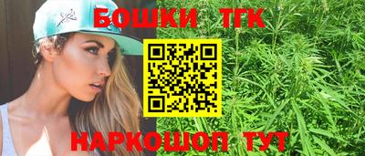 дживик Можга
