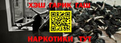 дживик Можга