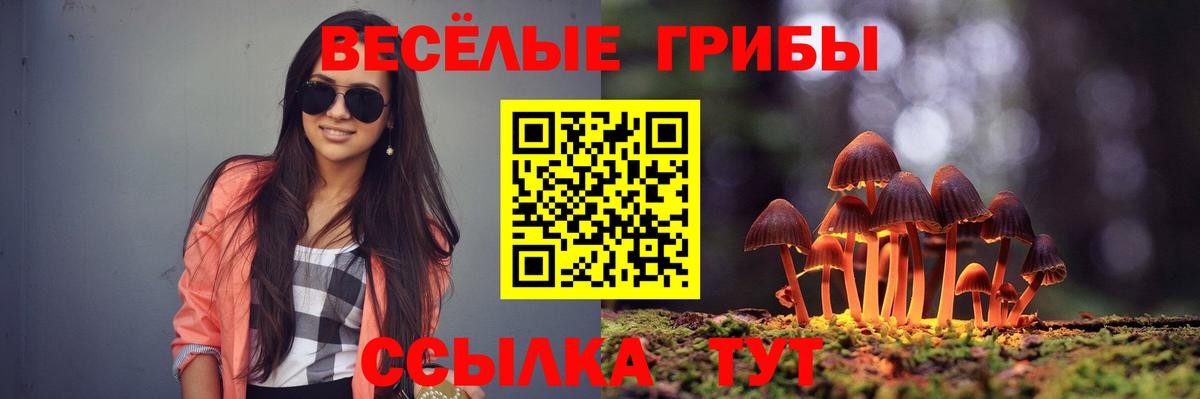 Галлюциногенные грибы мицелий  Вход с VPN  Соликамск 